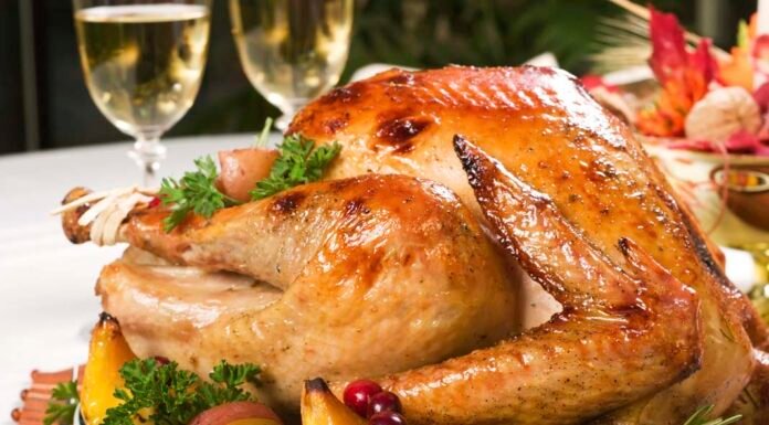 Unique Elephant Experience in Botswana