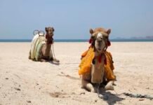 A Guide to Staying Healthy on Vacation